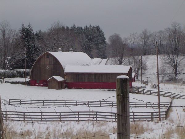 Winter Farm