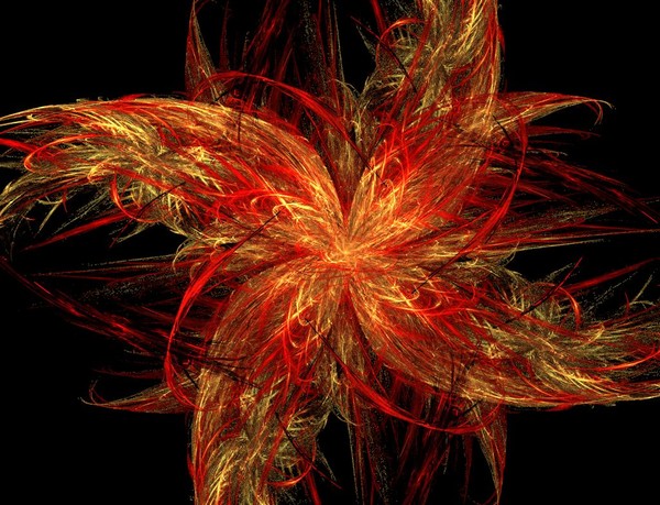 fireflower