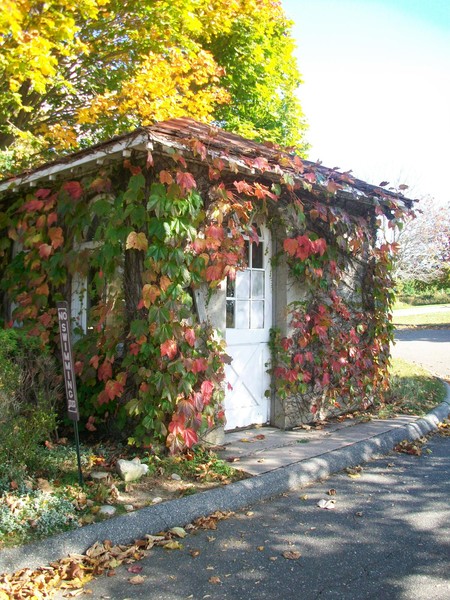 Autumn