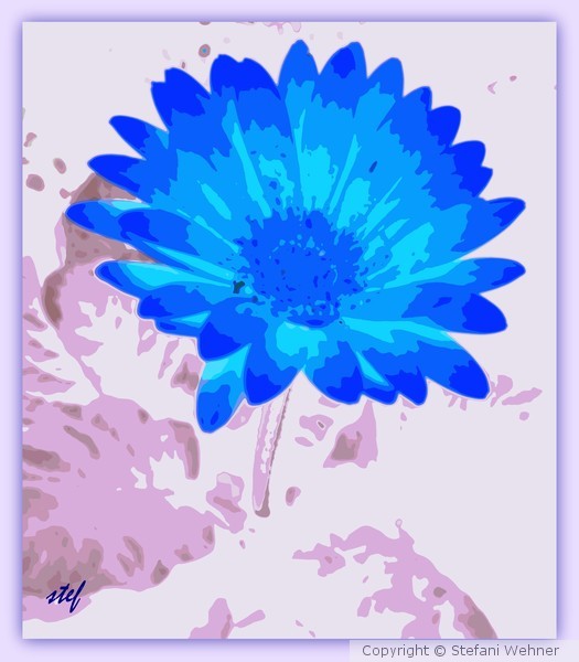 daisy in blue