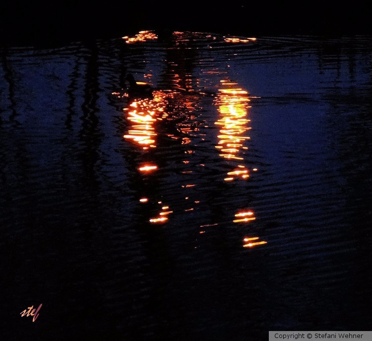 reflections in the night