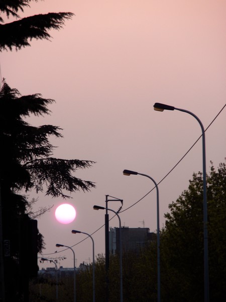 sunset in the city