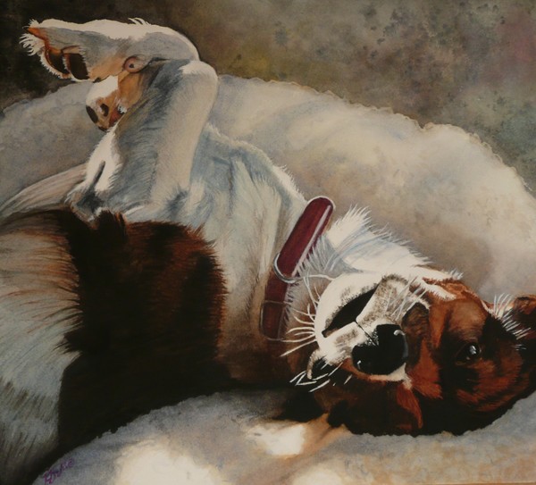 dozy dog