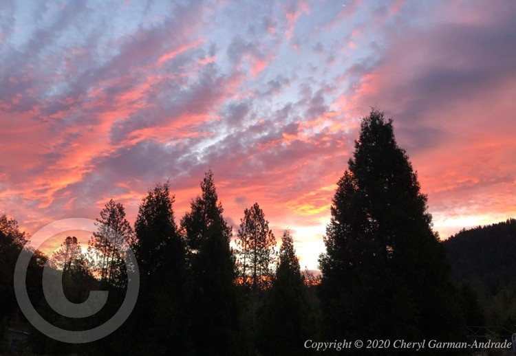 Oregon Back Yard Sunset