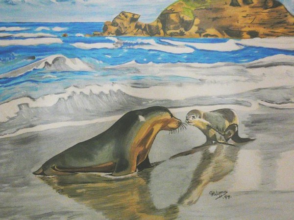 seals