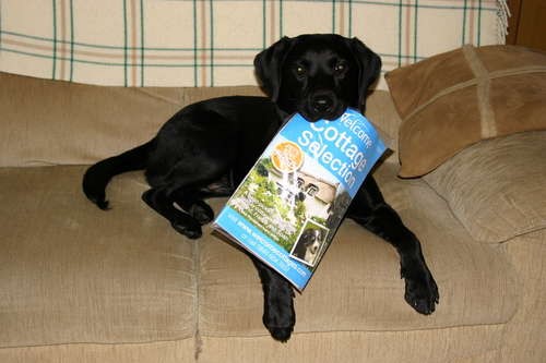 Holiday plans