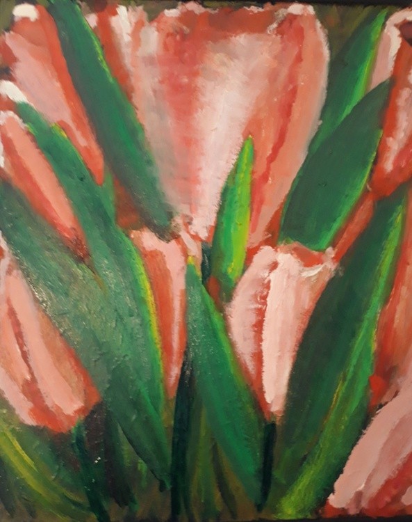 tulipancopy