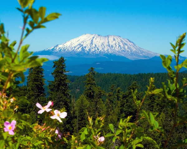 Mt. St. Helens