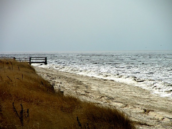 Winter on the Delaware Bay