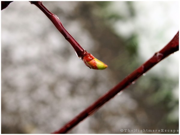Colour on the Tip