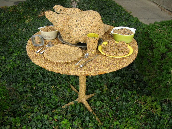 Bird Feast 