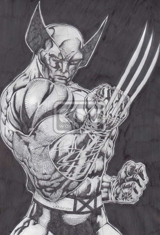 WOLVERINE