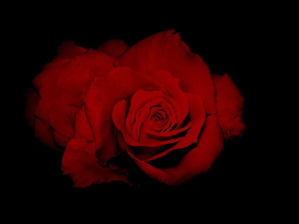Dark Passion