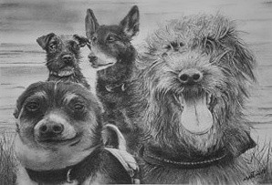 For Trudi