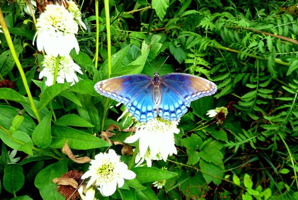 In The Blue