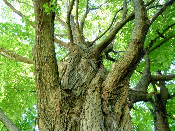 Reaching UP