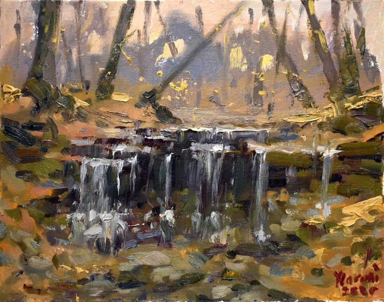Waterfall at Letchworth Park