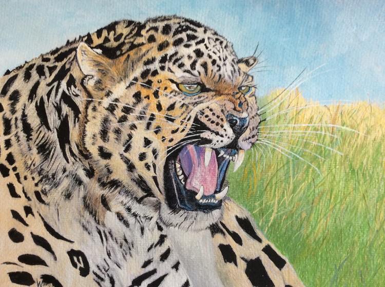 A very angry Leopard.