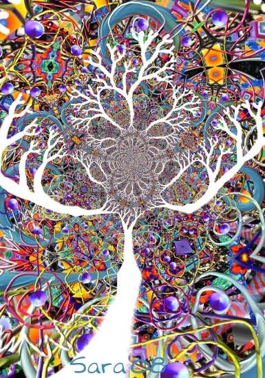 Profusion 2