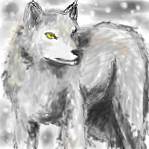 snowy wolf