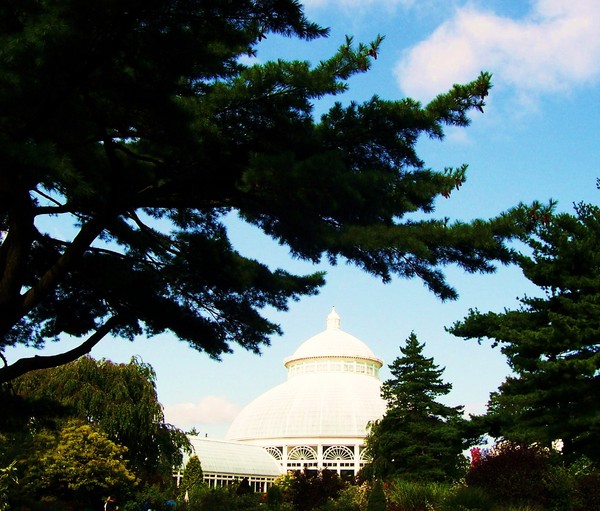 Botanical Gardens, Bronx NY