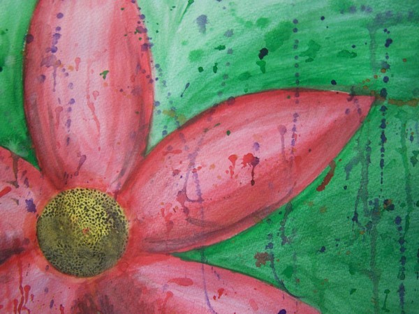 We Take for Granted the colors of Youth