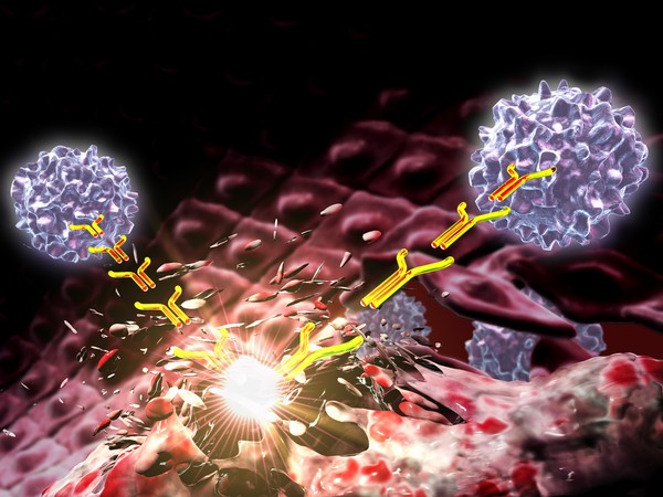 cancer cells being atacked