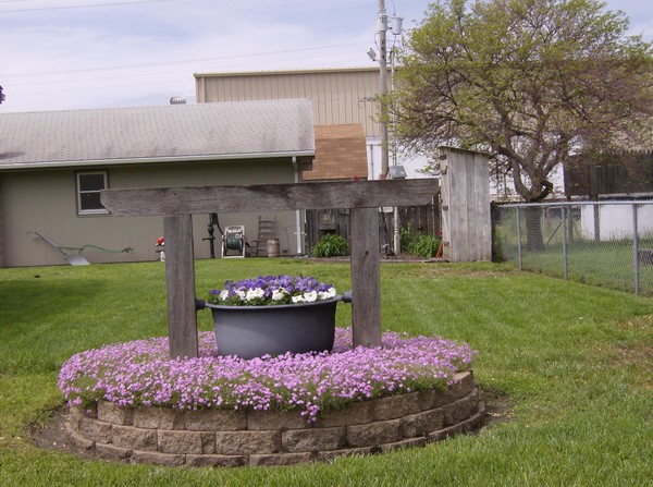 Purple Flowers