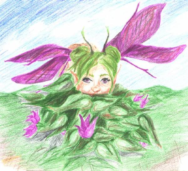 Camoflauge Fairy