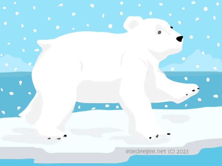 Polar Bear