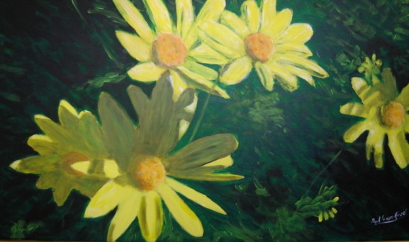 Winterdaisies