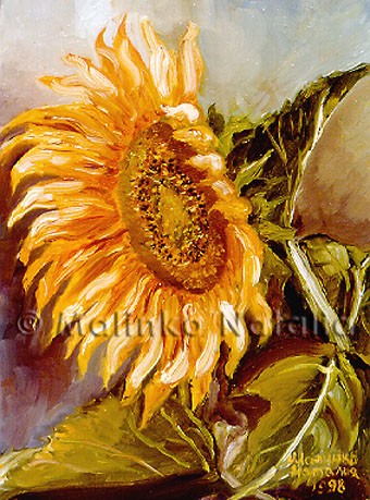 Sun flower.
