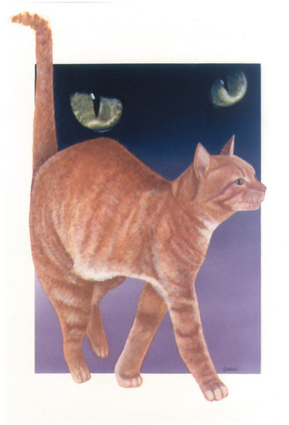 Alexander the Cat