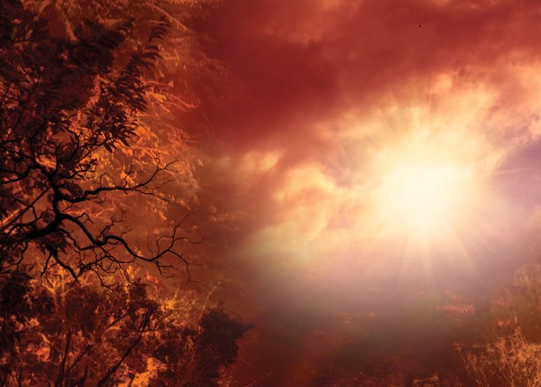 November