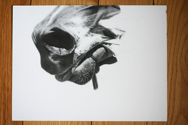 Horse-A work in progress