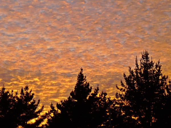 Fire Sky