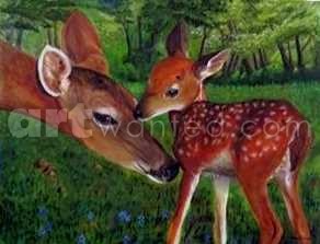 adoring deer