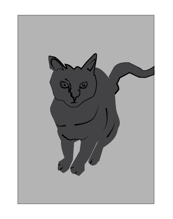 cat
