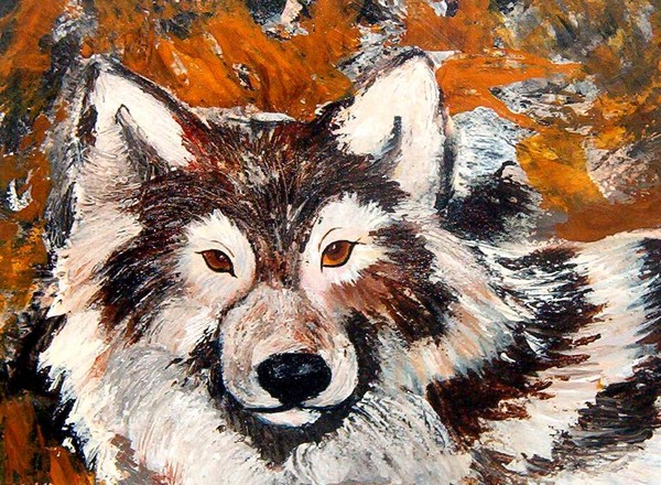 wolf