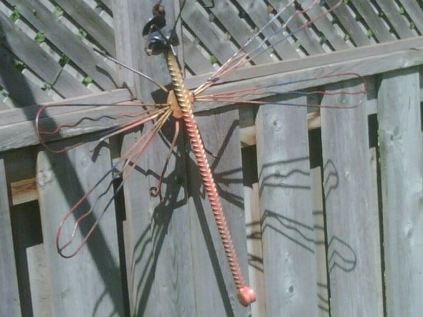 Dragon Fly