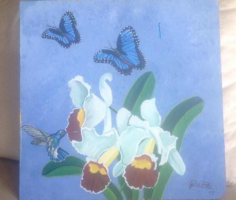 MARIPOSAS AZULES & CATTLAYAS BLANCAS