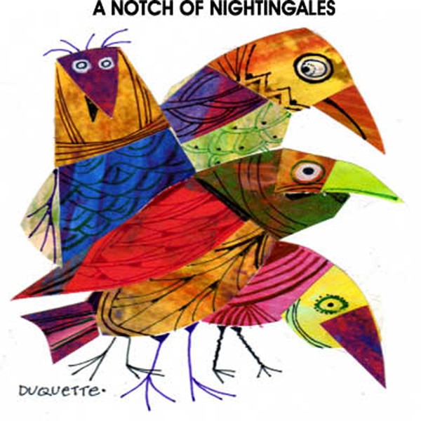 A NOTCH OF NIGHTINGALES