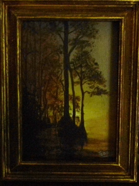 cypress