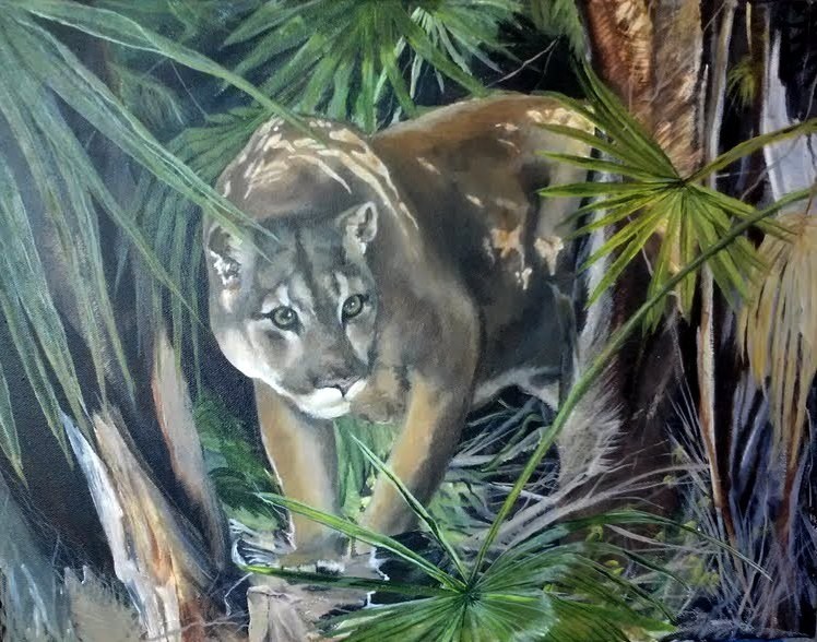 osceola new