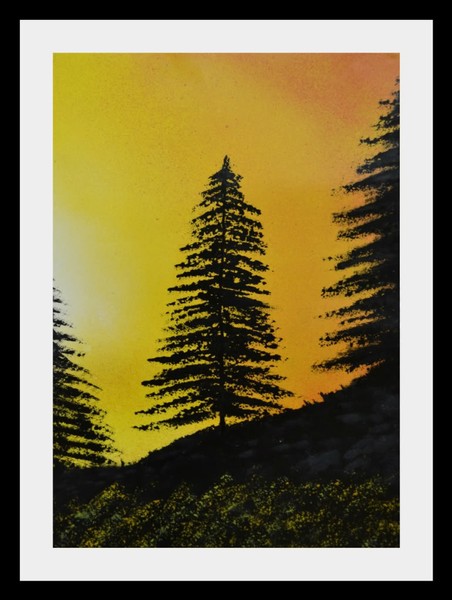 Sunset Pine