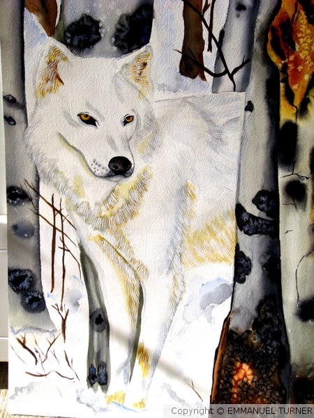 Lone wolf