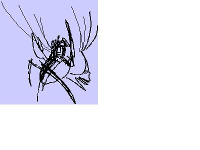 Sketch
