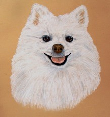 Snowball