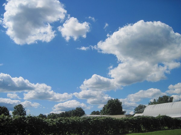 Vineyard headquarters