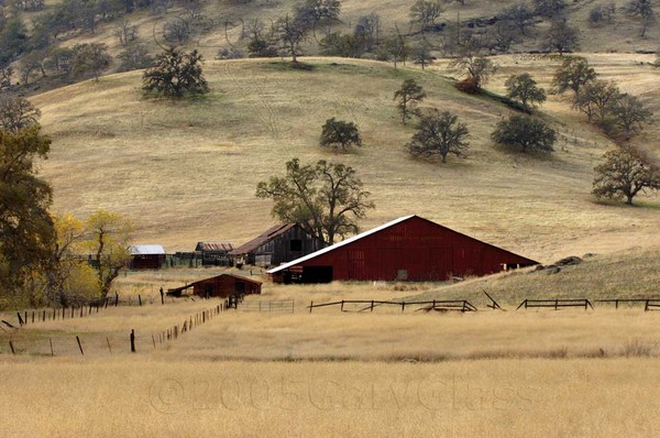 Red Barn Among the Oaks